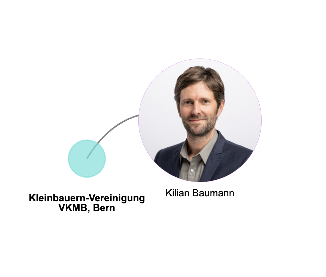 Idealtypische Einflusssphäre einer Politikerin