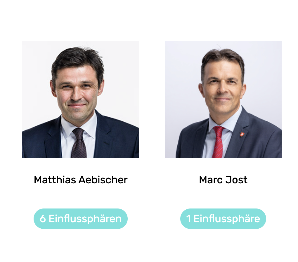 Idealtypische Einflusssphäre einer Politikerin